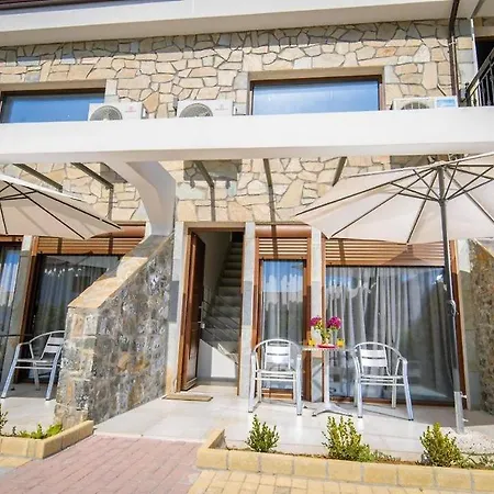 Stone פפקוהורי